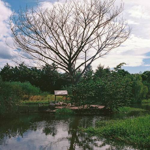  یه روزی کارمون میگیره اینو که علی گفت حمید یه وری شد